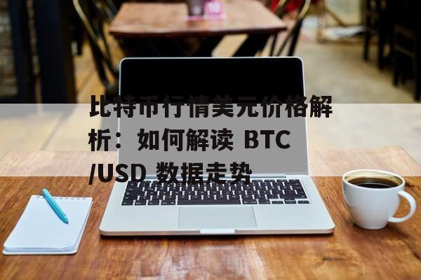 比特币行情美元价格解析：如何解读 BTC/USD 数据走势