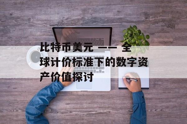 比特币美元 —— 全球计价标准下的数字资产价值探讨